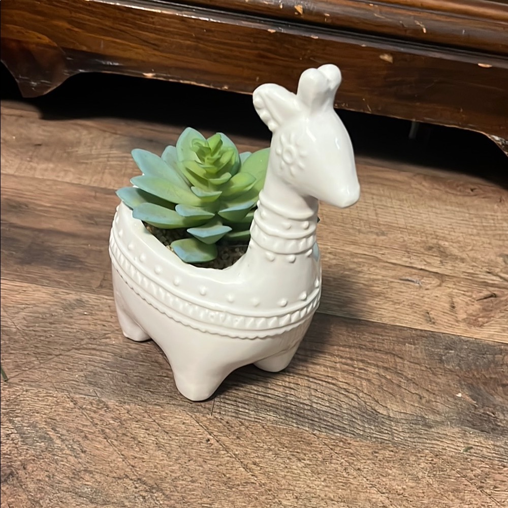 White Llama Planter with Green Succulent